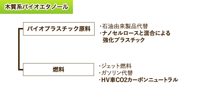 木質系バイオエタノール・バイオプラスチック原料